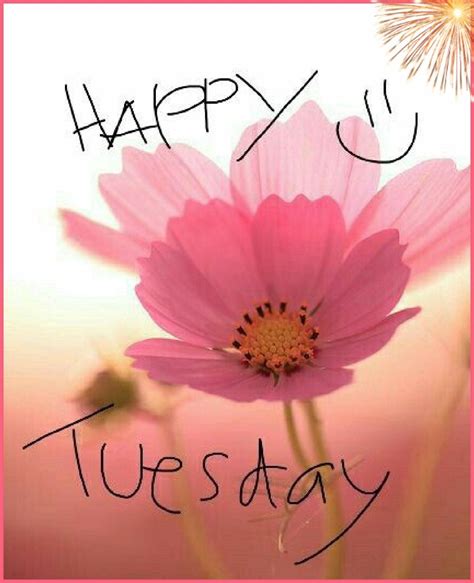 Is Your Workplace Missing Out? The Power Of Happy Tuesday Memes For Work! Image 19