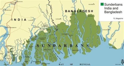 Sundarbans: Part of world's largest delta in West Bengal | India Post ...