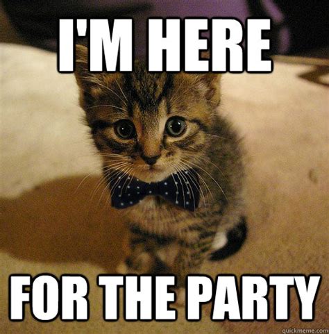 I'm here For the party - Bowtie Cat - quickmeme