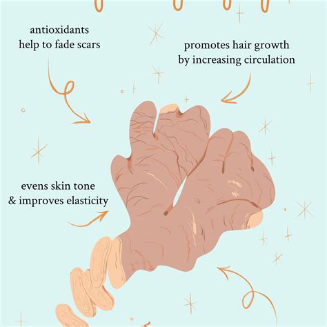 Ginger Benefits For Skin at Roger Pettigrew blog