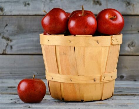 How To Start Apple Orchard In 5 Simple Steps - EyouAgro