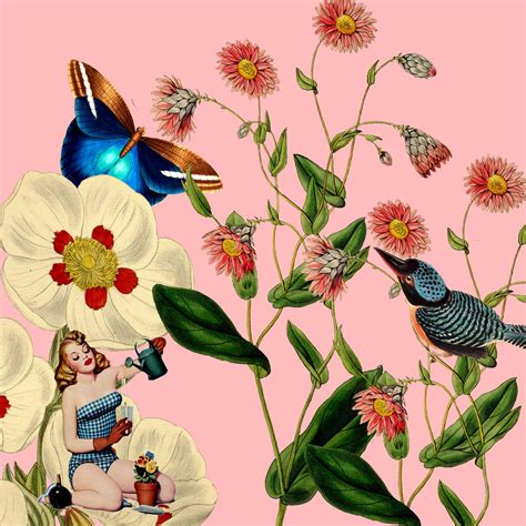 Applebutter Pattycake added a new... - Applebutter Pattycake