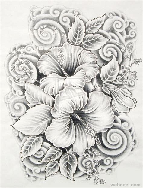 45 Beautiful Flower Drawings and Realistic Color Pencil Drawings