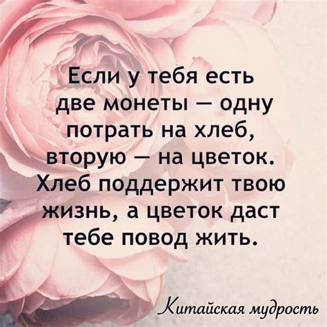 Китайская мудрость | Вдохновляющие цитаты, Мудрость, Правдивые цитаты