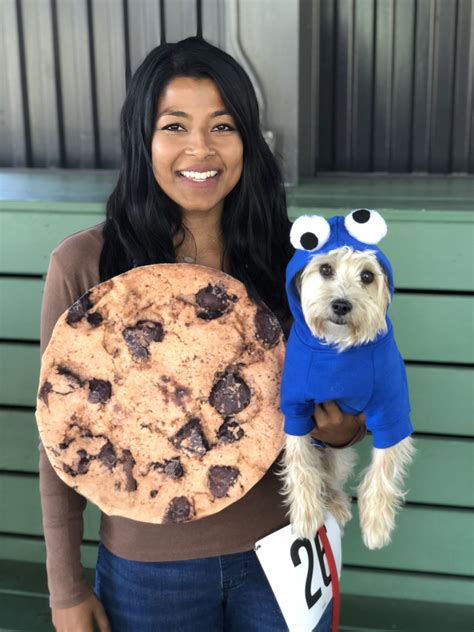 security costume for dog 6