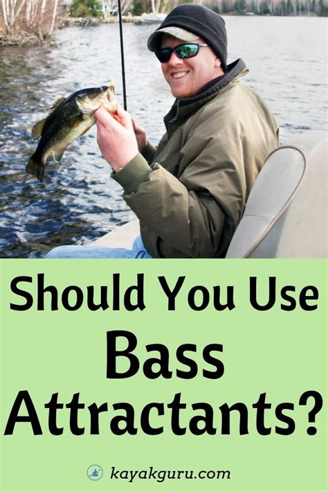 Should I Use Bass Attractant? - How Do They Work And What's The Best?