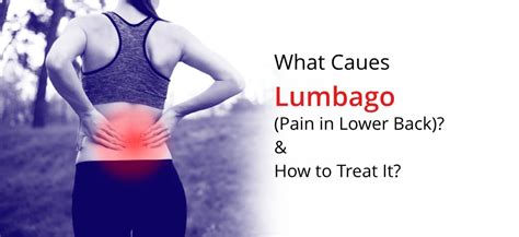 What is Lumbago? Causes, Symptoms and How Is It Treated