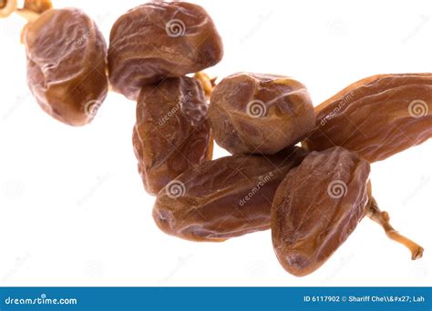 Dates Macro Isolated stock photo. Image of nutrition, fruits - 6117902