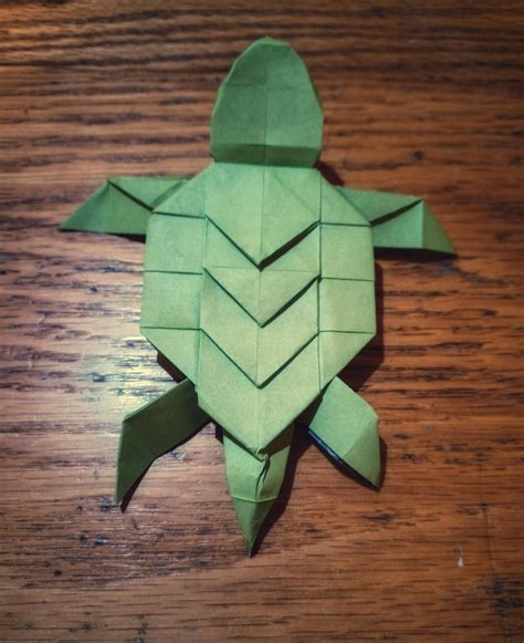 guide to turtle making noise indoors 3