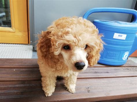 KY Busted Newspaper Investigates the Darkest Side of the Bluegrass State with Hard-Hitting Journalism 7