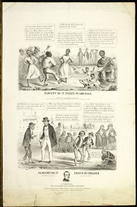 Primary Source Images: The Cotton Revolution | United States History I