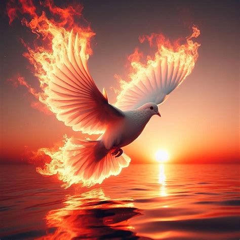 20,000+ Free High-Spirited & Holy Spirit Images - Pixabay