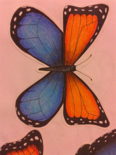 Mariposa dibujo a color