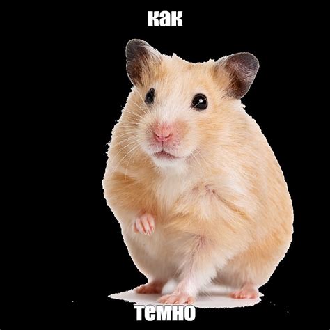 Мем: "как темно" - Все шаблоны - Meme-arsenal.com