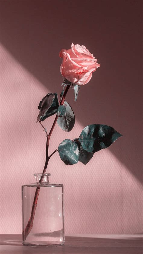 [100+] Pink Vintage Aesthetic Wallpapers | Wallpapers.com