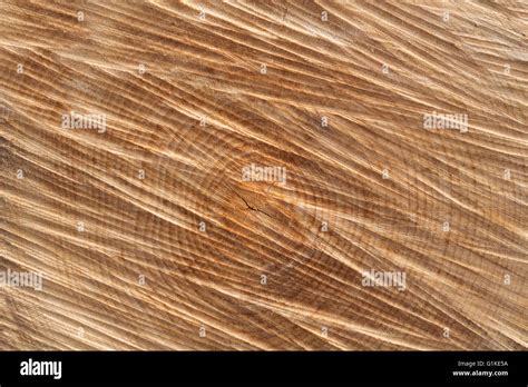 cut surface  res stock photography  images alamy
