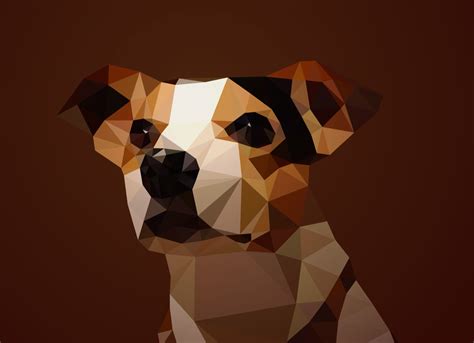 canis lupus familiaris trianimalia