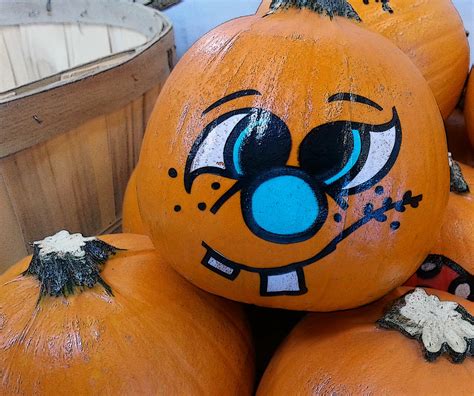funny face pumpkin  stock photo public domain pictures