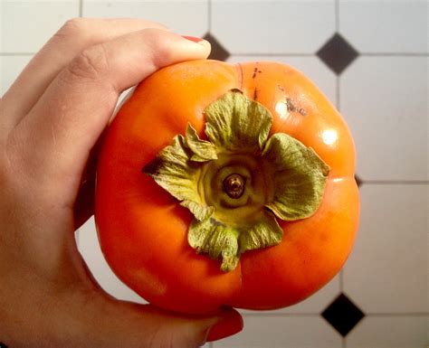 Fruta Que Parece 10 Frutas Exóticas A Descubrir: Pitahaya, Tamarillo,