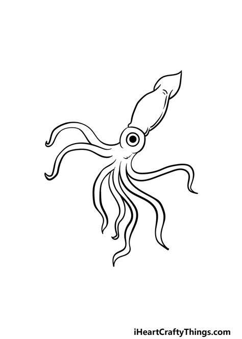 How To Draw A Giant Squid