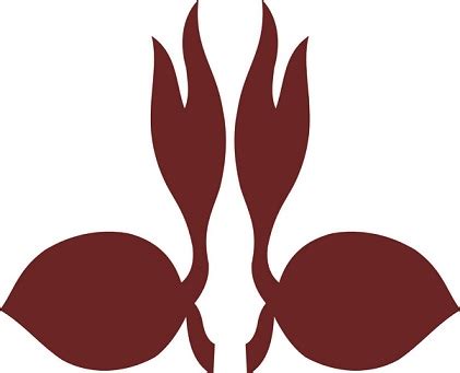 detail logo pramuka tunas kelapa png koleksi nomer