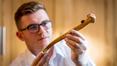 500-year-old skeletons unearthed at Tower of London chapel could ...