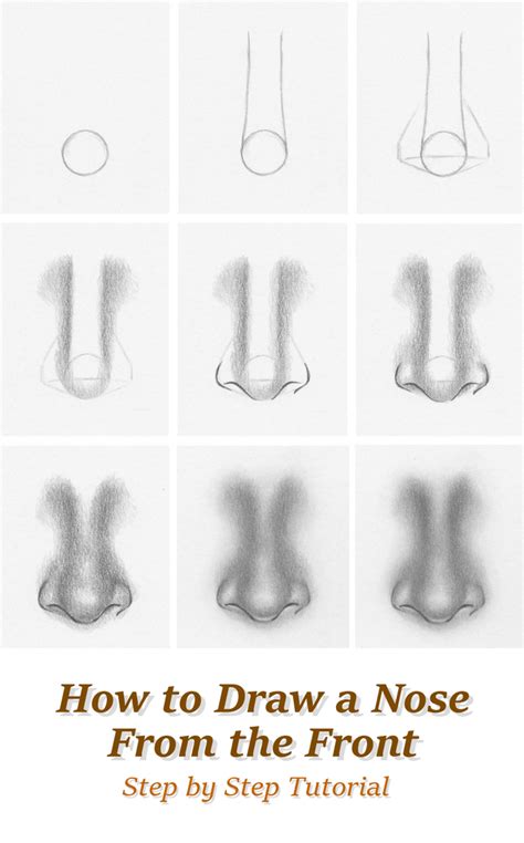 draw  nose   front tutorial  rapidfireart  deviantart