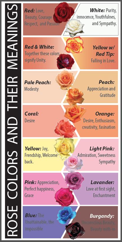 Rose Colors and Their Meanings