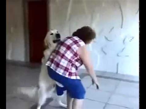 Cachorro Fudendo A Dona - Mulher sendo devorada pelo cachorro zoofilia - YouTube