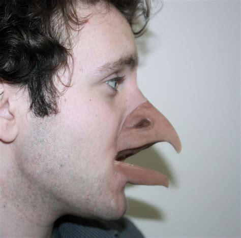 amazing bird beak   love    maquiagem artistica