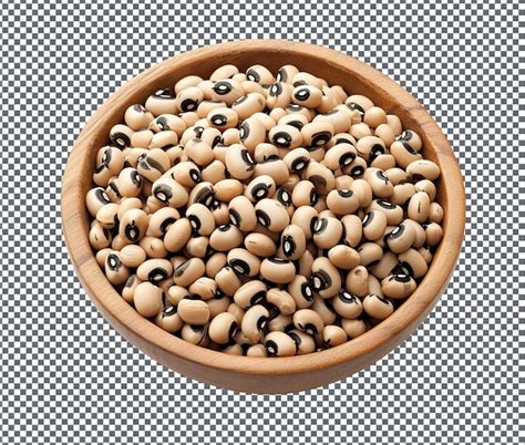 understanding bean dimensions psd high quality  psd templates