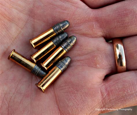 Five good reasons to own a .22 rifle – Survival Common Sense Blog ...