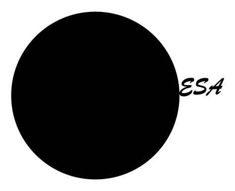 otzyvy otel disa p yakornaya shchel  sochi