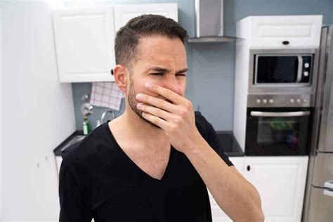 Reasons Why Your Dishwasher Smells Like Rotten Eggs When Running | Mr ...