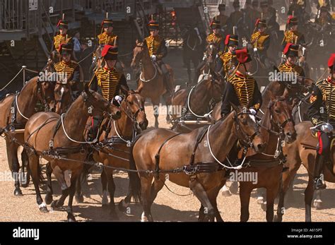 major generals parade horse guards parade london stock photo alamy