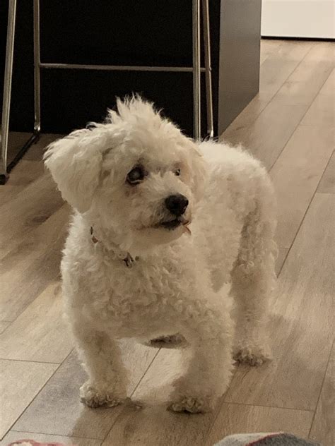 Inside the Currys Halifax warehouse is a tech lovers dream 25