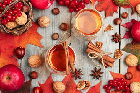 The Winter Food Guide You Need To Know About
