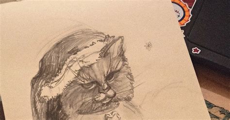 Котейка в шапочке | Пикабу