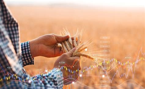 ai  improve crop yield
