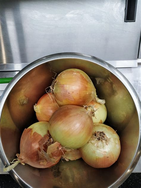 Saw something interesting in my onions today : r/TheFence