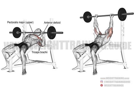 Incline barbell bench press instructions and video | Weight Training Guide