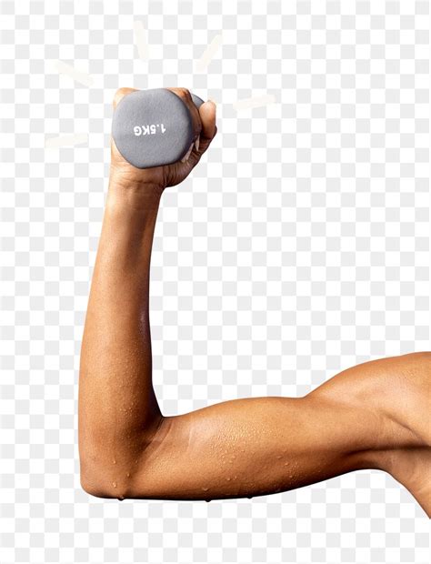 muscle arm images   png stickers wallpapers backgrounds