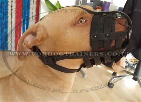 Pitbull Muzzle UK Bestseller | Dog Leather Muzzle