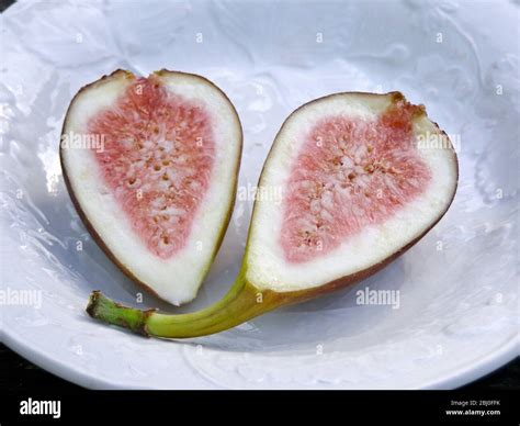 Fig hi-res stock photography and images - Alamy