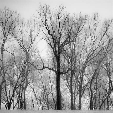 human/nature — Jenny Wilde Photographic Art