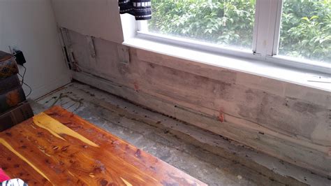 Window Leak in Cape Coral – Cape Coral Mold Remediation Services