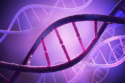 Serrated Polyposis syndrome - Sydney Cancer Genetics