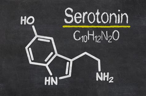 serotonina - Gazeta Medycyna