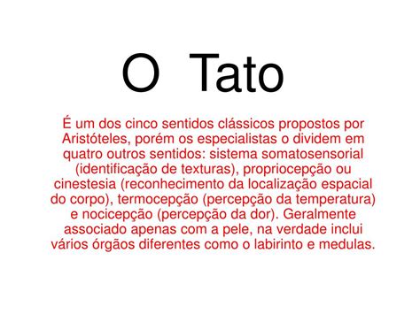 O Que Significa Tato - 10
