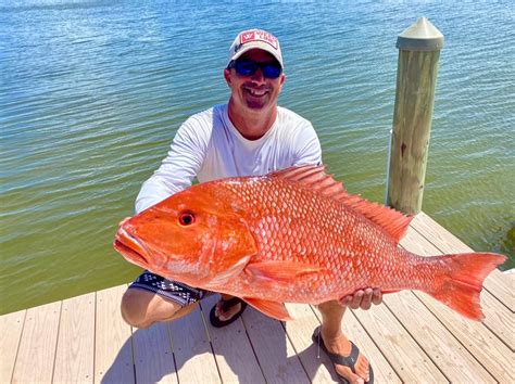 flounder fish  red snapper  elijah byrnes blog